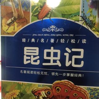 法布尔昆虫记萤火虫