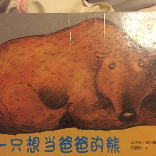 一只想当爸爸的熊🐻