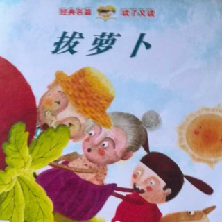 拔萝卜