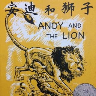 《安迪和狮子》——詹姆斯•多尔蒂