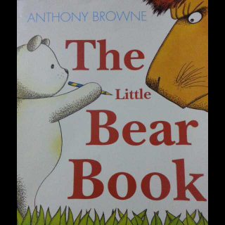 The little bear book