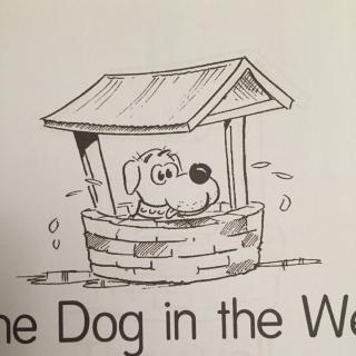 10.The Dog in the Well-自然拼音ell