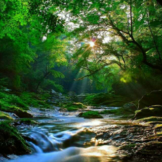 高山流水