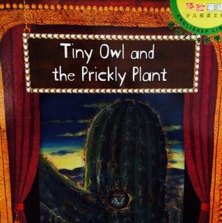 Tiny Owl and the prickly plant