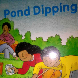 牛津阅读树3-3pond  dipping