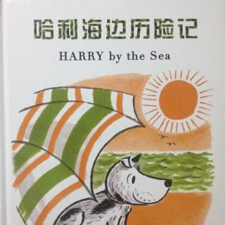 《哈利海边历险记》——吉恩•蔡恩