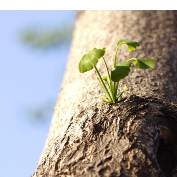 【一定有些什么,令我们难忘】在线收听_早安励志晚安温情_荔枝fm