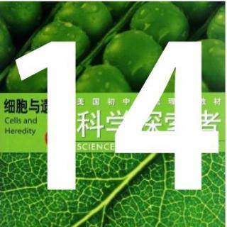 第14期【科学探索者】《从细菌到植物》4.2光合作用与光