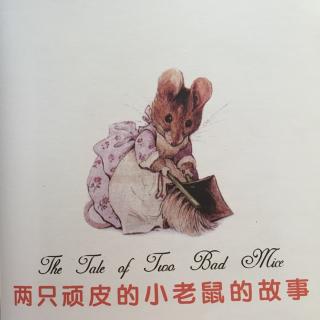 【李媛讲故事】75.《两只玩皮的小老🐭的故事》