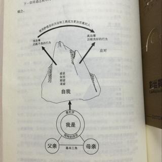 萨提亚家庭治疗模式--转化的过程之愤怒的转化