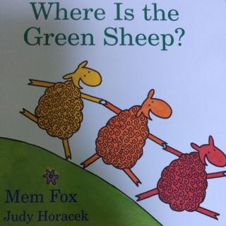 绘本故事之绿色绵羊在哪里？