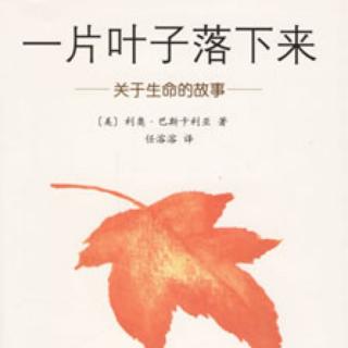 绘本《一片叶子🍃落下来》