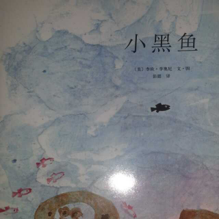 小黑鱼