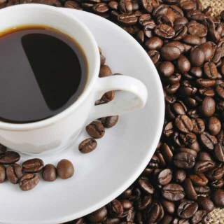 咖啡成分的含有率