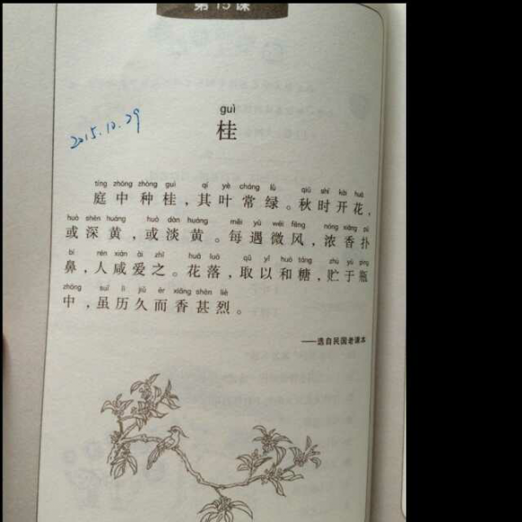 20151202小古文第15课《桂》