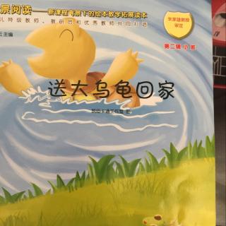 送大乌龟回家