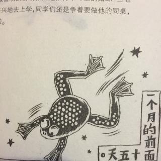 《一只蛤蟆叫太阳》大结局