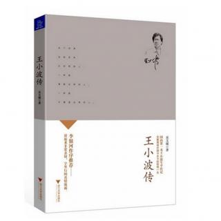 【每周一书】《王小波传》第4集：小说家：艺术、事业与虚构才能