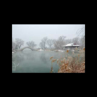 《我是一朵行行走的雪花》文，西子