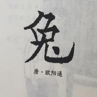 长耳短尾的兔子