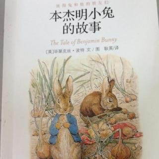 彼得兔和他的朋友们14：本杰明小兔的故事