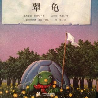 送给祥博的生日故事：犟龟🐢