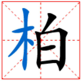 咬文嚼字2-柏