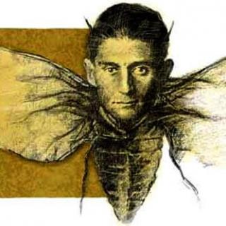 Centenario de "La metamorfosis" de Kafka