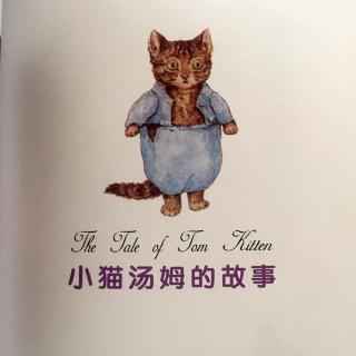 【李媛讲故事】76．《小🐱汤姆的故事》