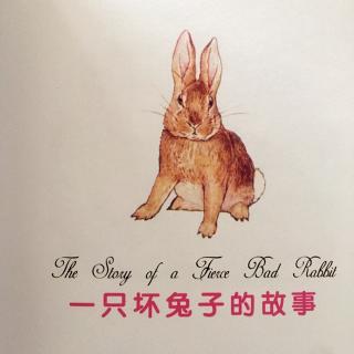 【李媛讲故事】77．《一只坏🐰子的故事》