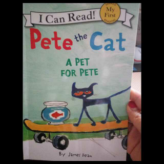 Pete's cat A pet—袁源权，吴禹萱周日表演示范