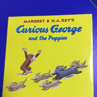 Curios George and the Puppies