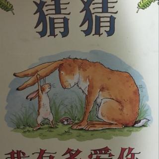 猜猜我有多爱你