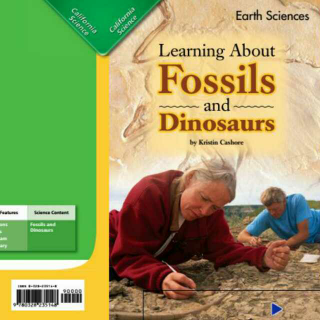 研究化石和恐龙