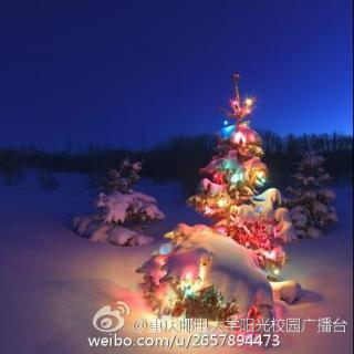 Sunshine113 Christmas【编辑：小绵羊】【主播：小欠儿 、高宇】