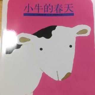 【故事47】《小牛的春天》