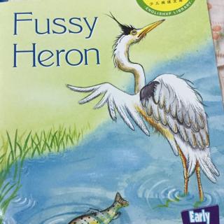 fussy heron