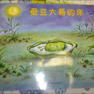 蚕豆大哥