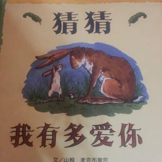 曲阜东方爱婴晚安故事38-猜猜我有多爱你