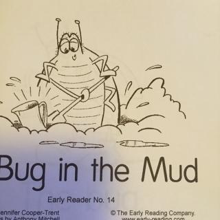 14.A Bug in the Mud-自然拼音ug