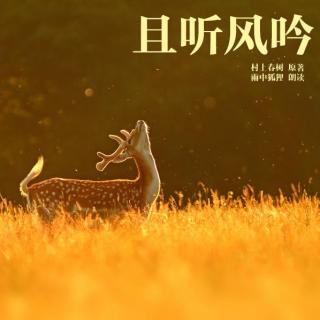 且听风吟02