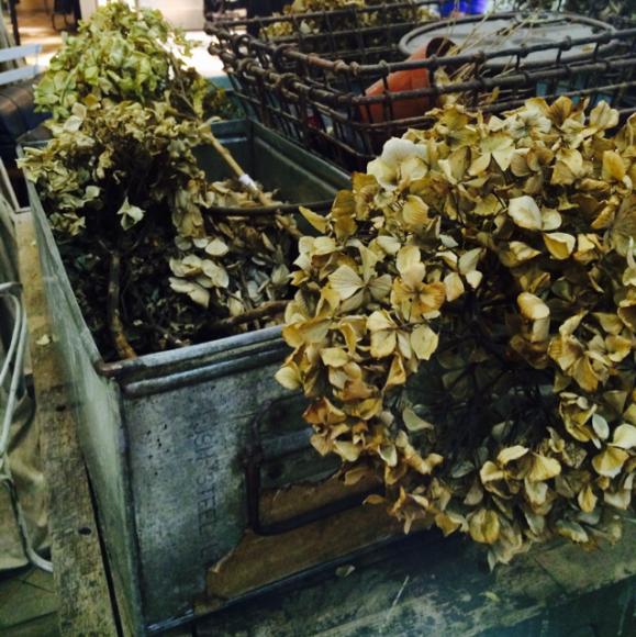 《大铭的幸福生活》最可怕的不是贫穷