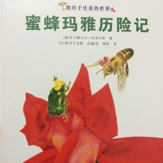 蜜蜂玛雅历险记