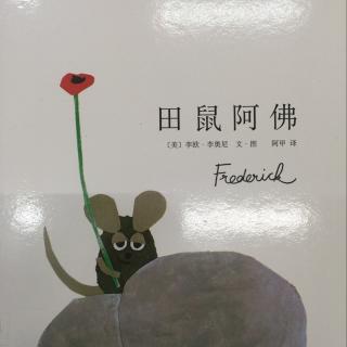 田鼠🐭阿佛