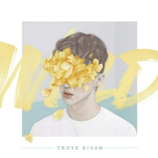 Fools-Troye Sivan（只有傻瓜才会爱上你）