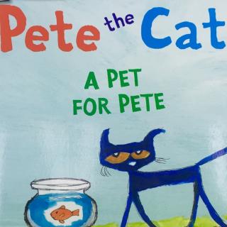 A pet for Pete皮特猫的宠物