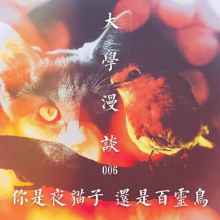 【大学漫谈】006：你是夜猫子，还是百灵鸟？