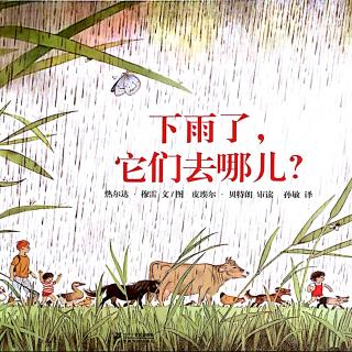 绘游晚安故事—绘本《下雨了，它们去哪儿？》