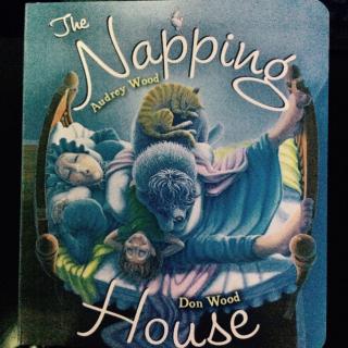 The Napping house by Audrey Wood&Don Wood 