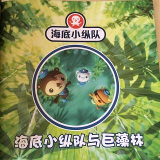 海底小縱隊與巨藻林